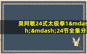 吴阿敏24式太极拳1——24节全集分解教学