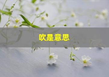 吹是意思