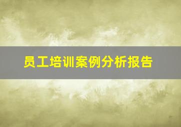 员工培训案例分析报告