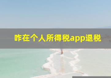 咋在个人所得税app退税