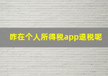 咋在个人所得税app退税呢