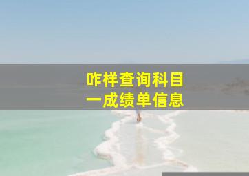 咋样查询科目一成绩单信息