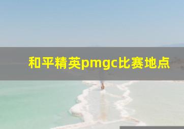 和平精英pmgc比赛地点