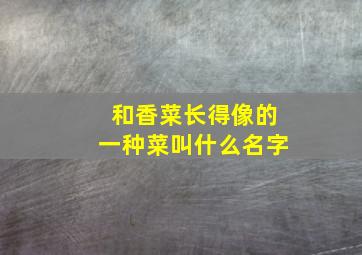 和香菜长得像的一种菜叫什么名字