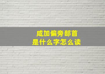 咸加偏旁部首是什么字怎么读