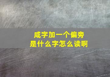 咸字加一个偏旁是什么字怎么读啊