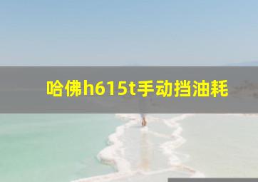 哈佛h615t手动挡油耗