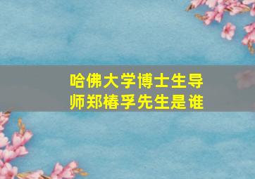 哈佛大学博士生导师郑椿孚先生是谁