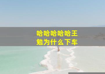 哈哈哈哈哈王勉为什么下车