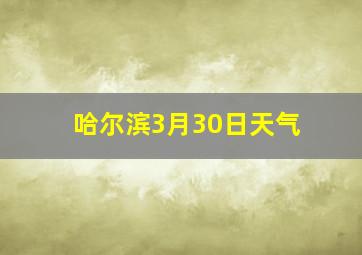 哈尔滨3月30日天气