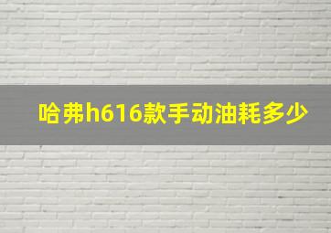 哈弗h616款手动油耗多少