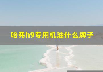 哈弗h9专用机油什么牌子