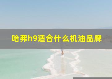 哈弗h9适合什么机油品牌