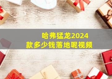 哈弗猛龙2024款多少钱落地呢视频