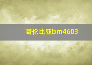 哥伦比亚bm4603