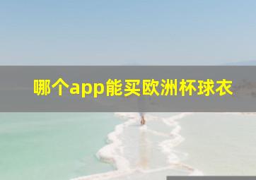 哪个app能买欧洲杯球衣