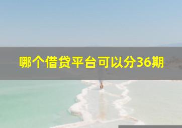 哪个借贷平台可以分36期