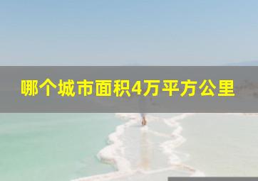 哪个城市面积4万平方公里