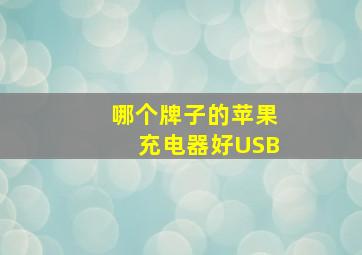 哪个牌子的苹果充电器好USB