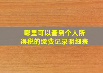 哪里可以查到个人所得税的缴费记录明细表