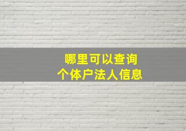 哪里可以查询个体户法人信息