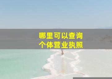 哪里可以查询个体营业执照