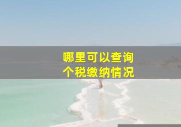 哪里可以查询个税缴纳情况