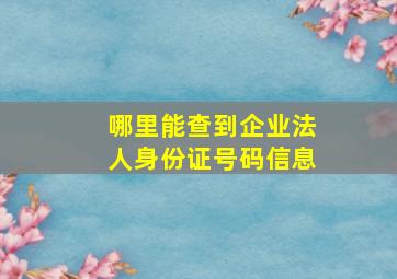 哪里能查到企业法人身份证号码信息