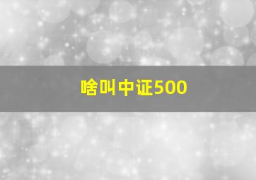 啥叫中证500