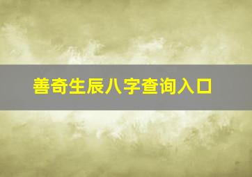 善奇生辰八字查询入口