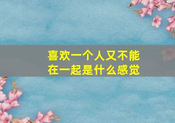 喜欢一个人又不能在一起是什么感觉