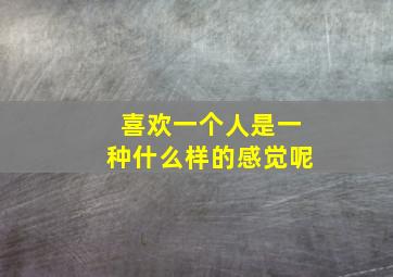 喜欢一个人是一种什么样的感觉呢