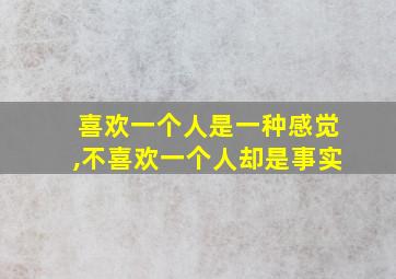 喜欢一个人是一种感觉,不喜欢一个人却是事实