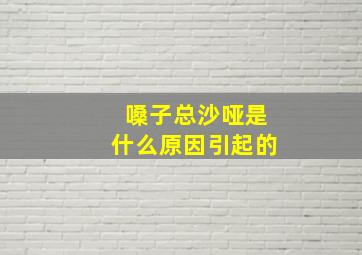 嗓子总沙哑是什么原因引起的