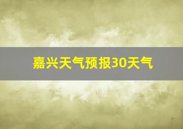 嘉兴天气预报30天气