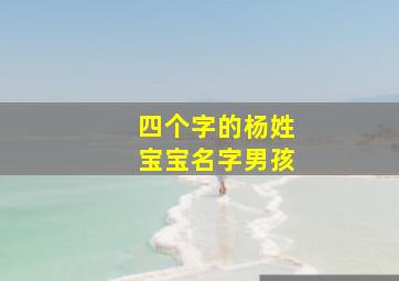 四个字的杨姓宝宝名字男孩