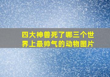 四大神兽死了哪三个世界上最帅气的动物图片