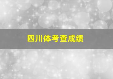 四川体考查成绩