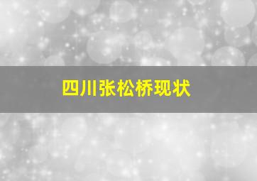 四川张松桥现状