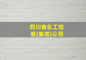 四川省化工控股(集团)公司