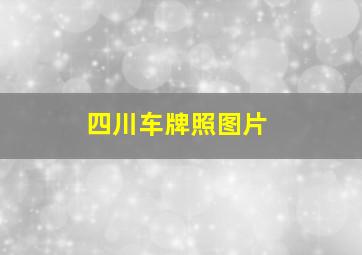 四川车牌照图片