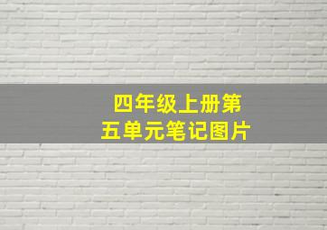 四年级上册第五单元笔记图片