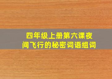 四年级上册第六课夜间飞行的秘密词语组词