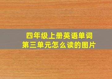 四年级上册英语单词第三单元怎么读的图片