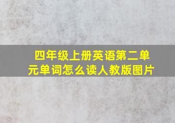 四年级上册英语第二单元单词怎么读人教版图片