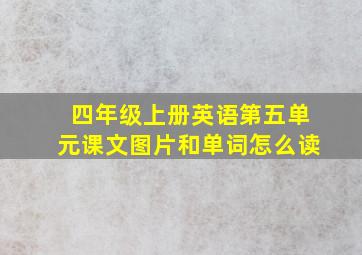 四年级上册英语第五单元课文图片和单词怎么读