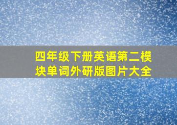 四年级下册英语第二模块单词外研版图片大全