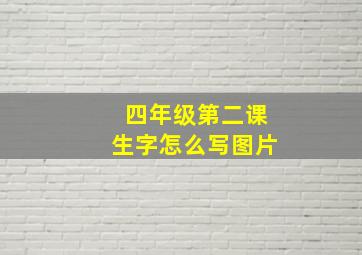 四年级第二课生字怎么写图片