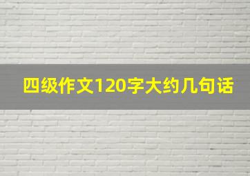 四级作文120字大约几句话