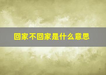 回家不回家是什么意思